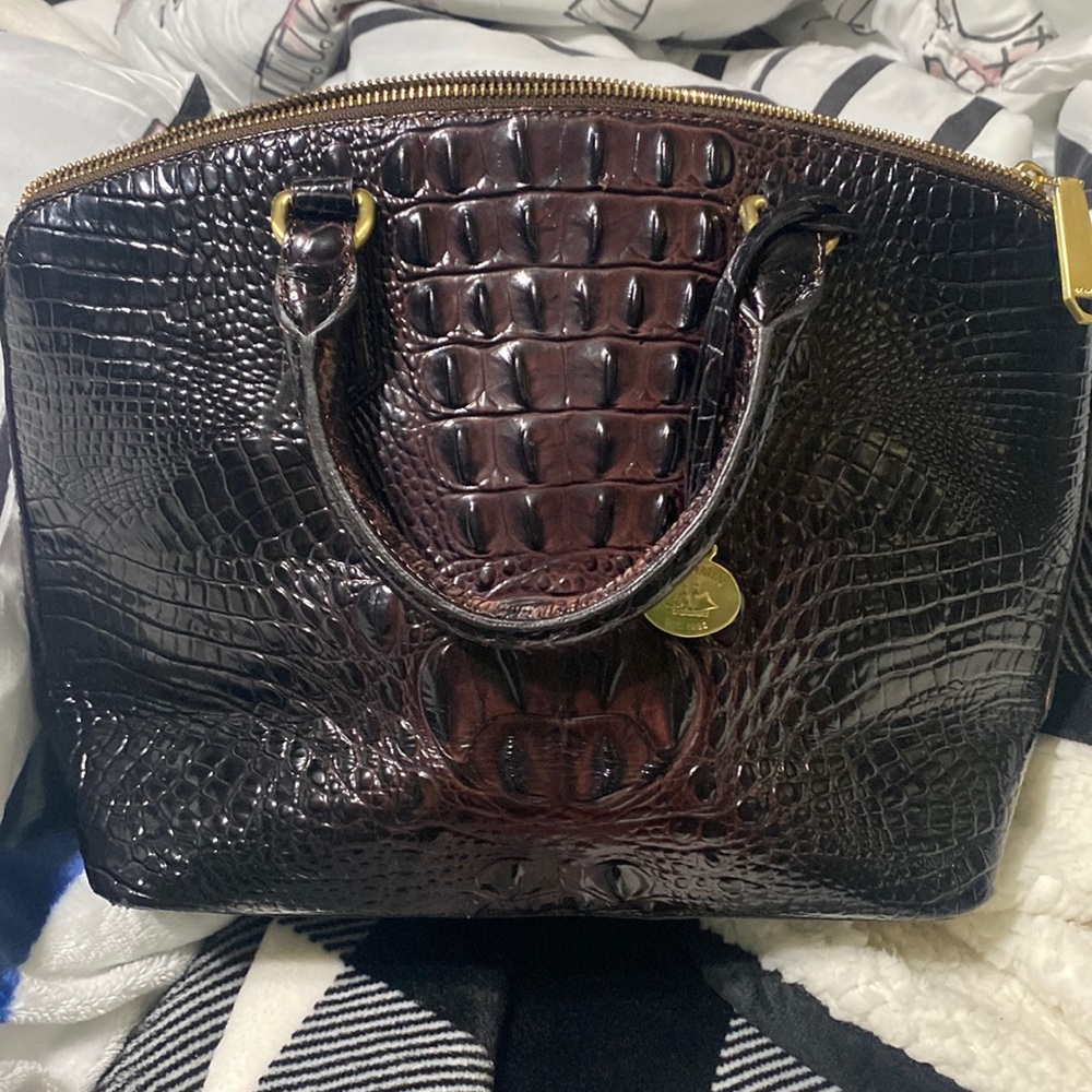Brahmin